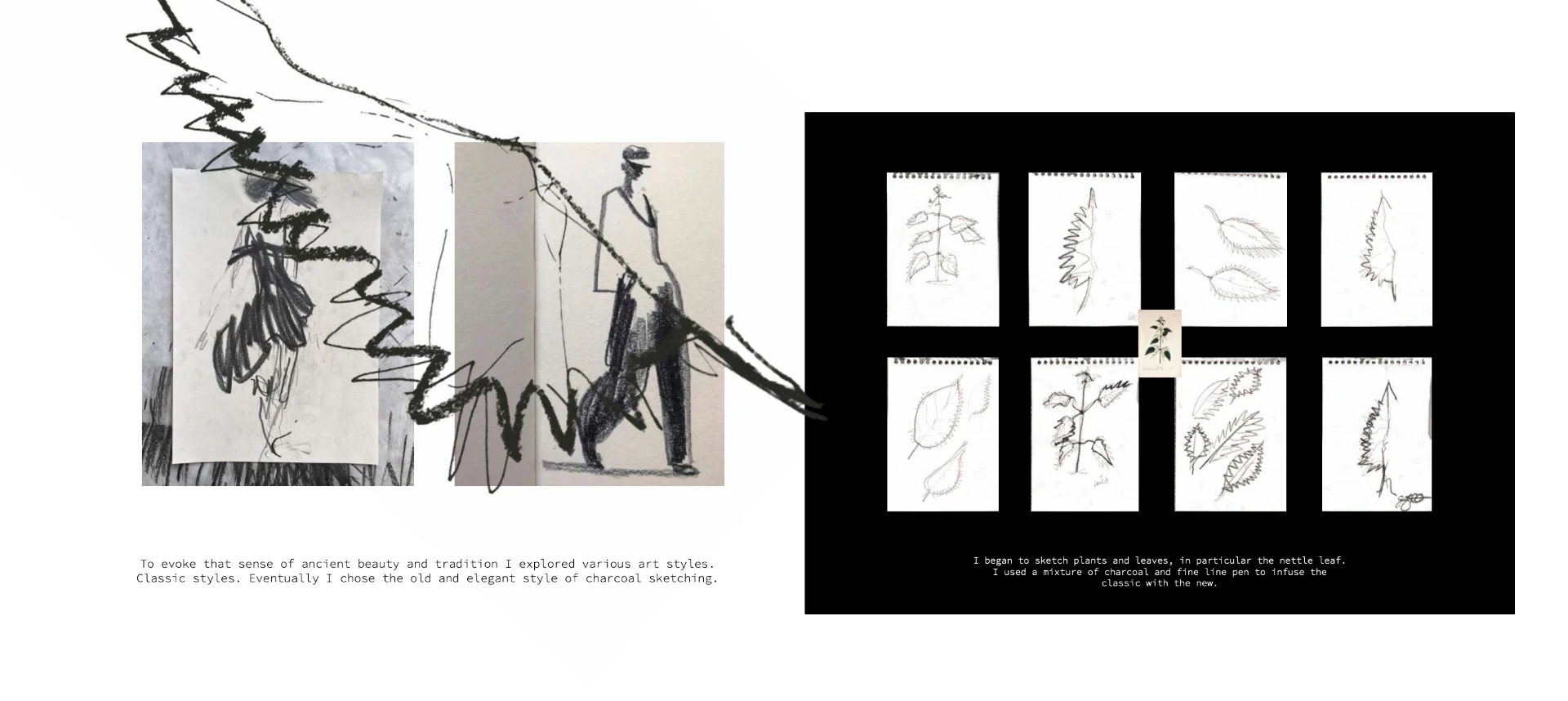 Charcoal sketch exploration and nettle leaf studies